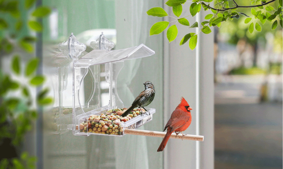 Strong Suction Cups Plexiglass Window Bird Feeder Thường xuyên Acrylic Birdhouse