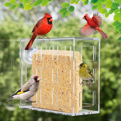 Window Acrylic Bird Feeder Hanging Mount Transparent Plexiglass Bird House OEM