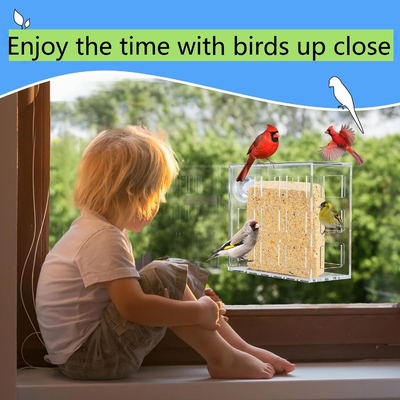 Window Acrylic Bird Feeder Hanging Mount Transparent Plexiglass Bird House OEM