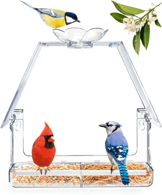 Cửa sổ trong suốt Plexiglass Bird House với BROAD xem Strong Suction Cups